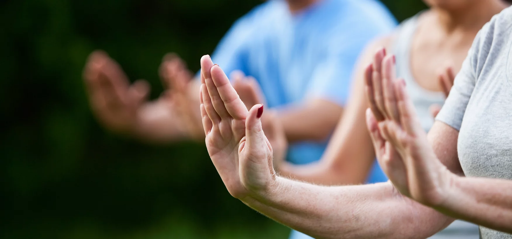 Tai Chi Hands in pose