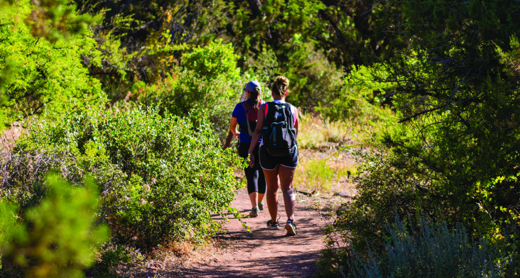 Two women hiking on trail in woods