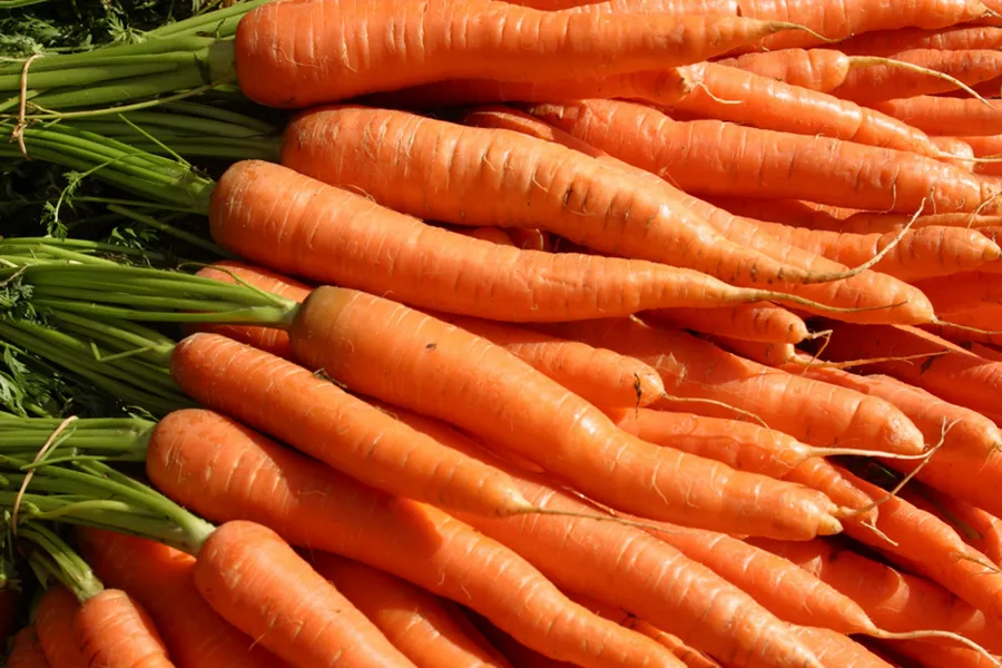 Carrots