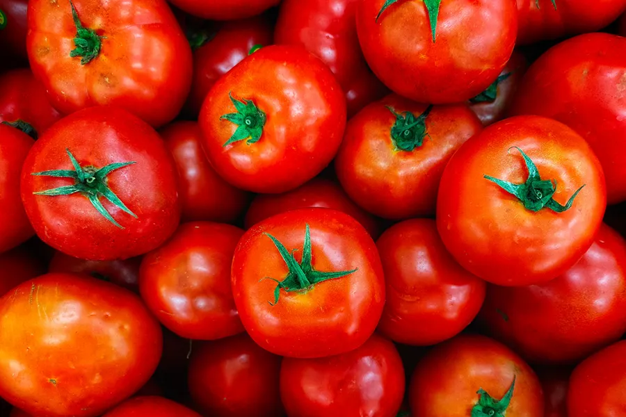 Tomatoes