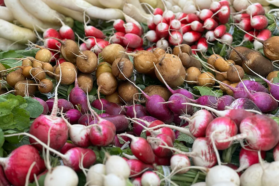 Turnips
