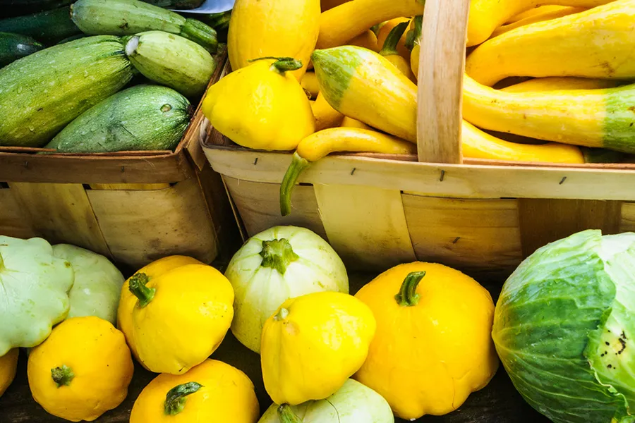 Zucchini and Summer Squash